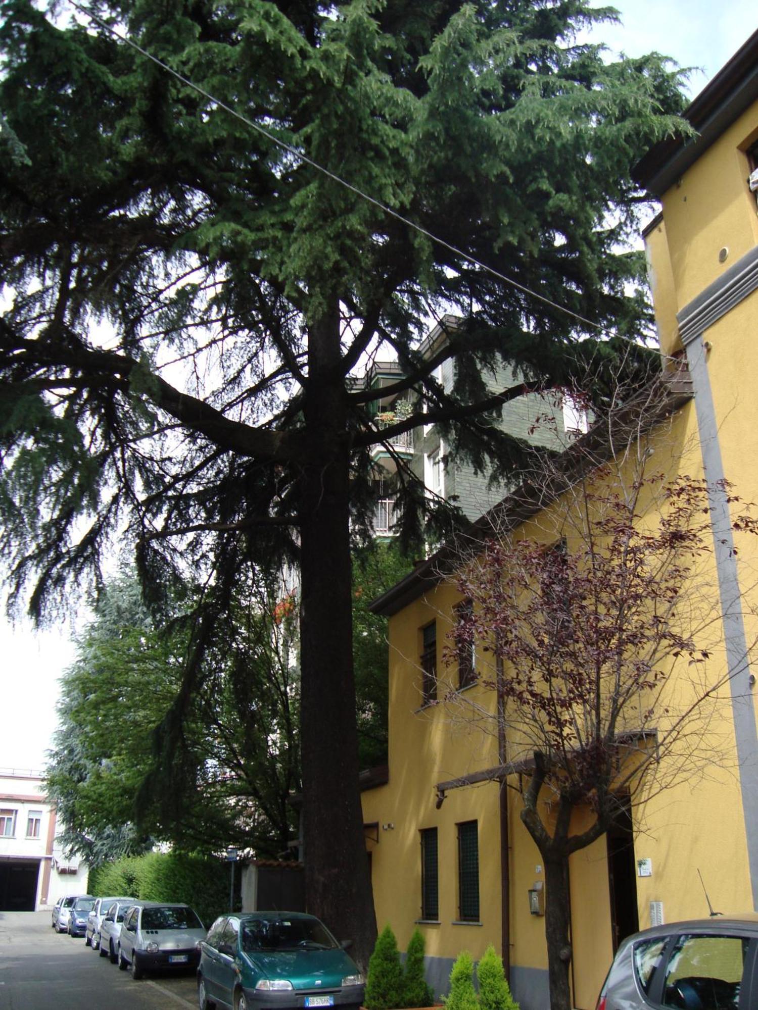 Residence Il Pino Saronno Exteriör bild