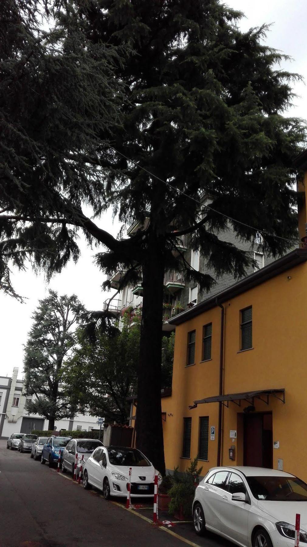 Residence Il Pino Saronno Exteriör bild
